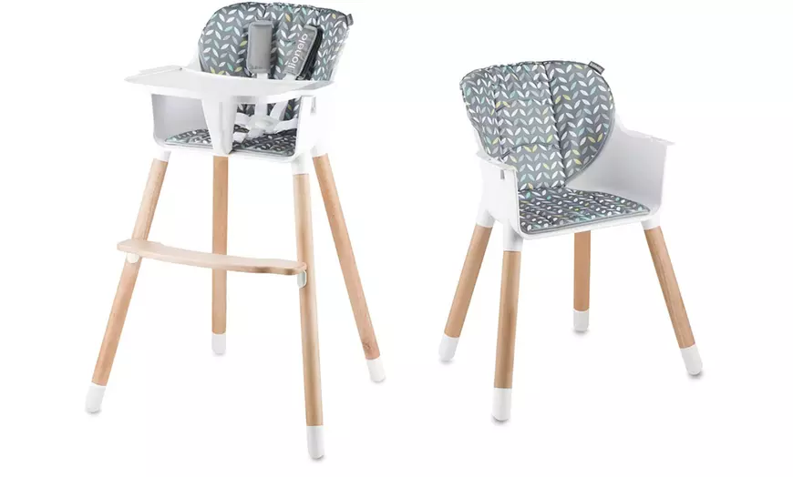 Image 1: Kinderstoel 2-in-1 Lionelo Koen