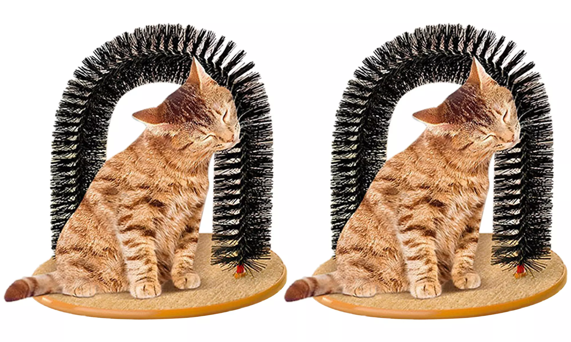 1 o 2 spazzole massaggianti ad arco per gatti Fair Trade con setole in plastica - Image 2