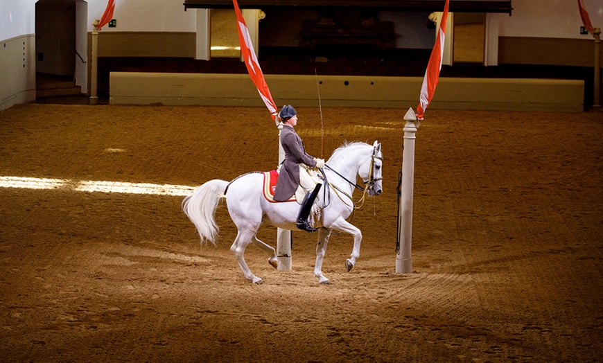 Image 5: Grab Your Tickets to the Most Majestic Horse Show in the UK