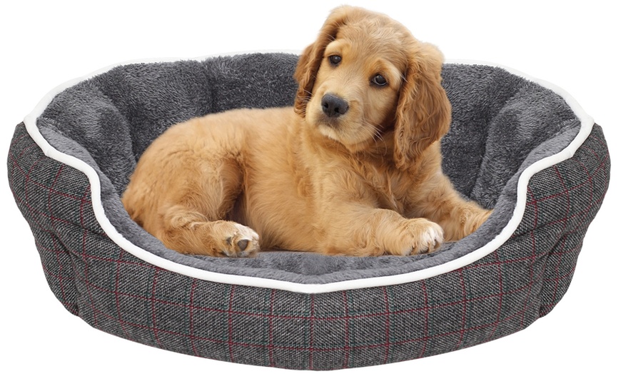 Image 5: Lit/Matelas pour chien