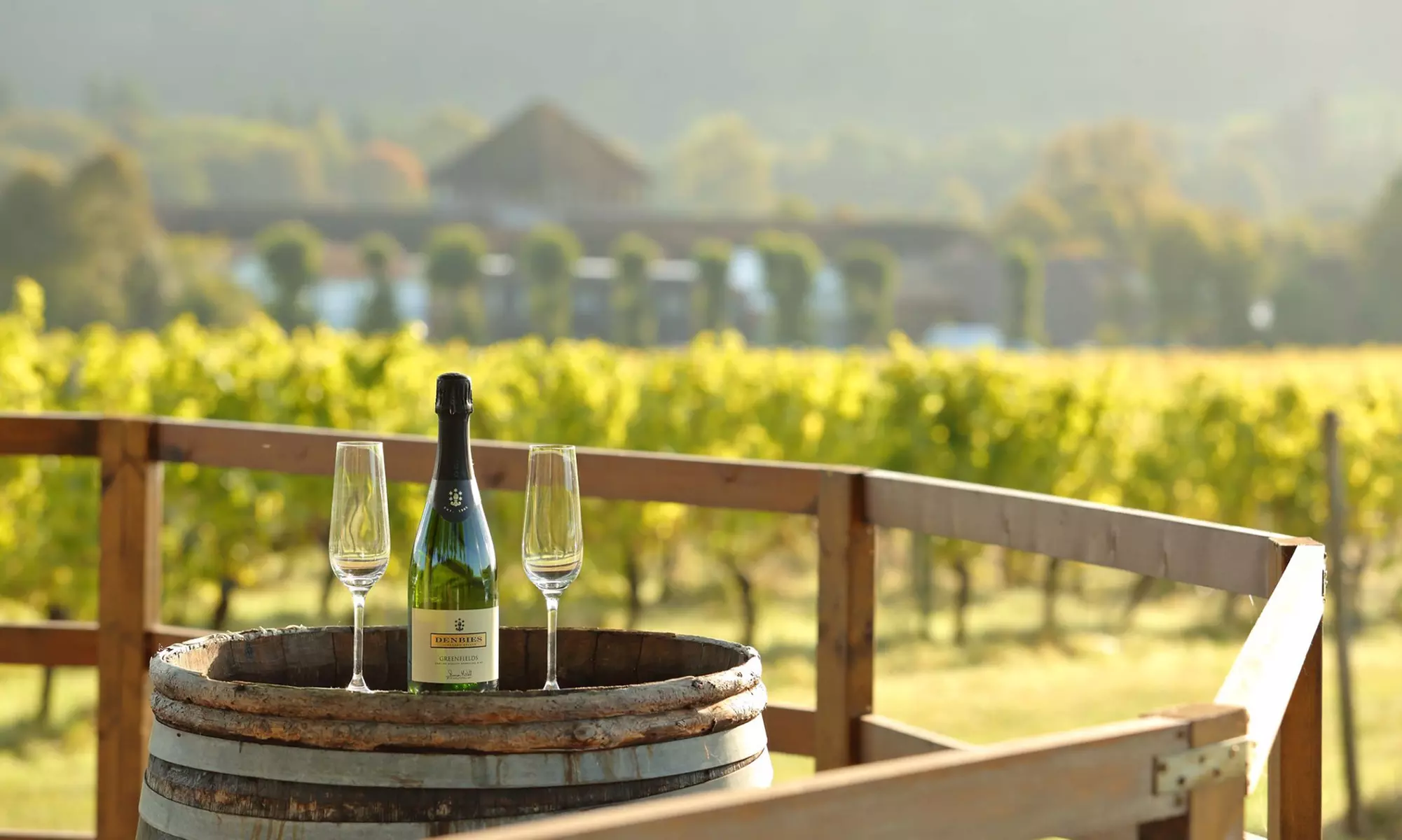 Wine Lovers’ Escape: Indoor Classic Wine Experience for 1, 2, or 4