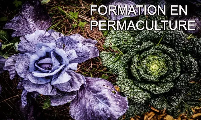 Formation en permaculture avec Meformer - Primary Image