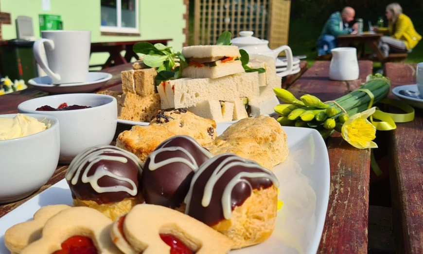 Image 2: Cream Tea and Sandwich at Ferne Animal Sanctuary