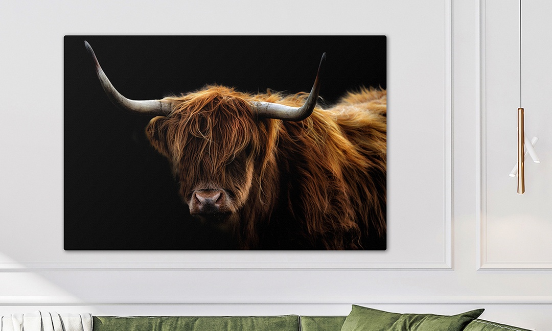 Collections de toile avec Hello Déco