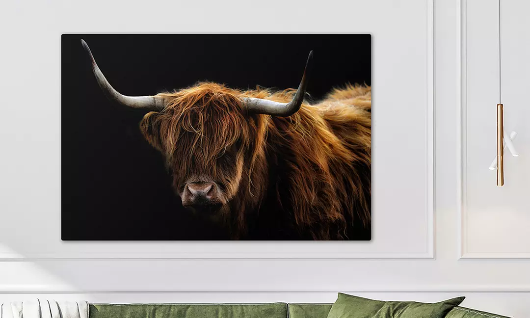 Collections de toile avec Hello Déco