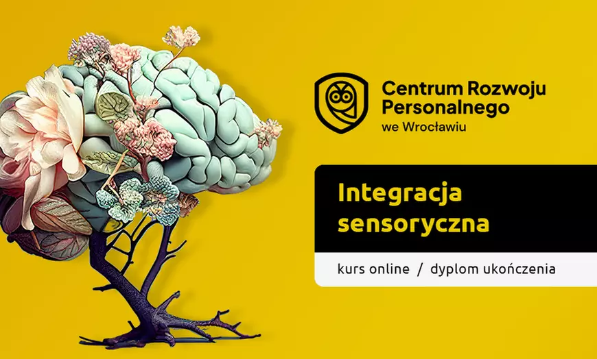 Kurs online: Integracja sensoryczna, terapia widzenia lub terapia ręki z Centrum Rozwoju Personalnego (do -83%) - Primary Image