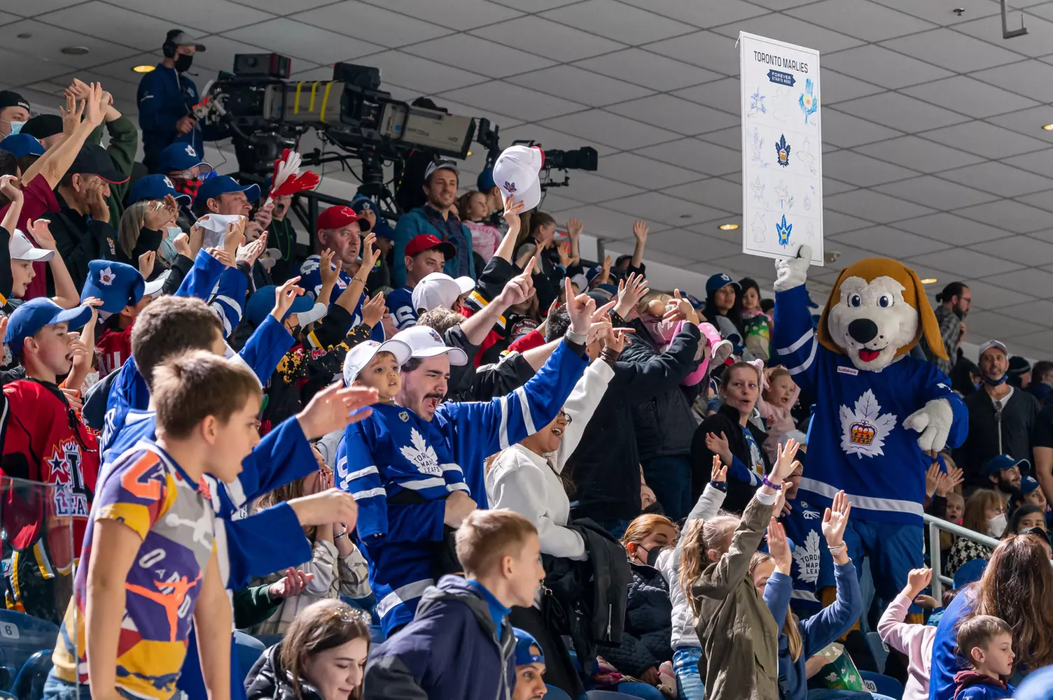 Toronto Marlies (November 19 - December 31) - Second Medium