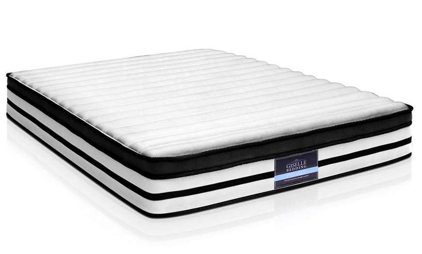 euro top medium pocket spring mattress