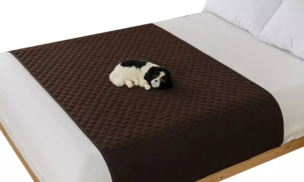 Wasser- und rutschfeste Hundedecke zum Möbelschutz