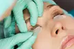 Elevate Your Look Brow Shape, Wax with Tint, Brazilian Wax, or Keratin Lash Lift Tailored To You (Up To 42% Off) - Image 3