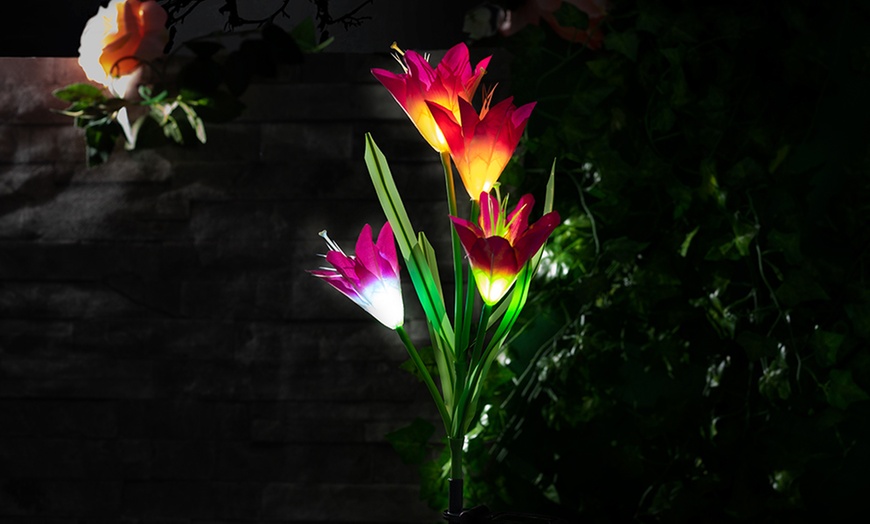 Image 8: Two-, Four- or Six-Pack of Solar Lily Flower Lights