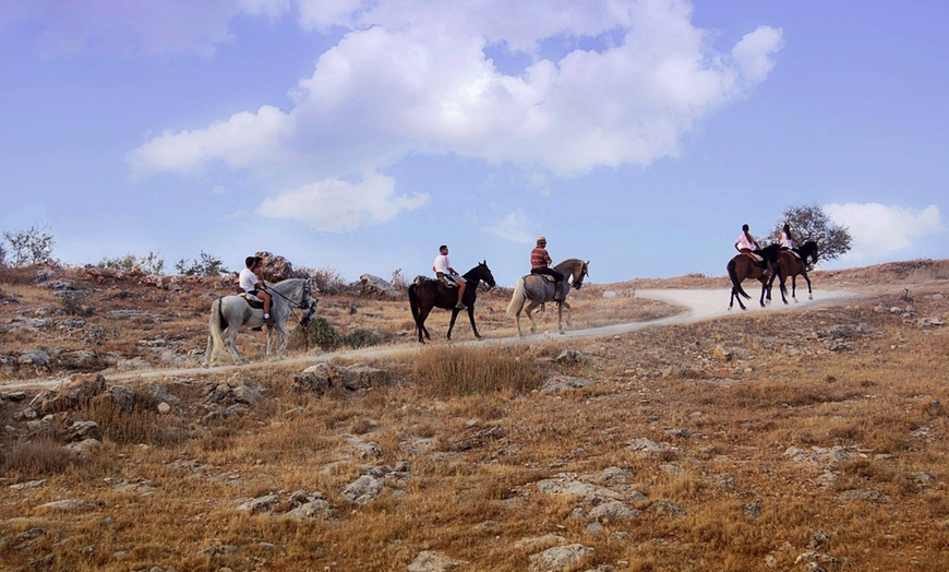 Image 6: Paseo a caballo y opción a noche en casa rural en El Portillo 2