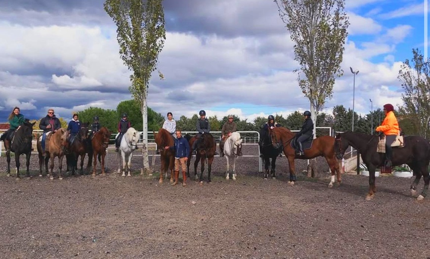 Image 15: Paseo a caballo de 1 hora por el Parque del Guadarrama con refresco