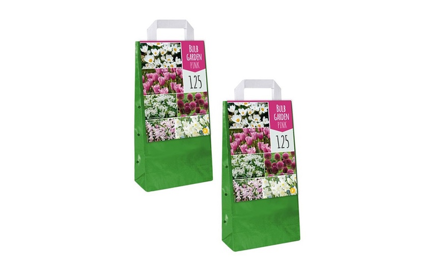 Image 8: Assortiment de 125 ou 250 bulbes de fleurs