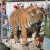 Image 1: Up to 42% Off Wildlife Adventure Tours at Animal Park