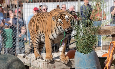 1 Person (all ages): 90-Minute FAMILY Adventure Tour [Online Reservation Required] - Animal Park at the Conservators Center