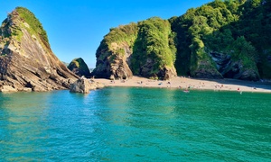 Ilfracombe: Up to 14 Nights