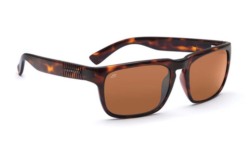 Image 15: Men's Serengeti Sunglasses