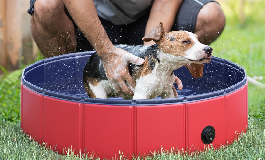 Image 1: PawHut Round Pet Paddling Pool in Various Sizes