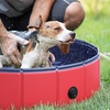 Image 1: PawHut Round Pet Paddling Pool in Various Sizes