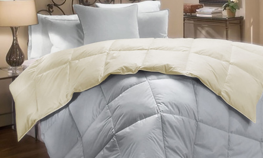 Image 1: Double-Faced Goose Feather Duvet