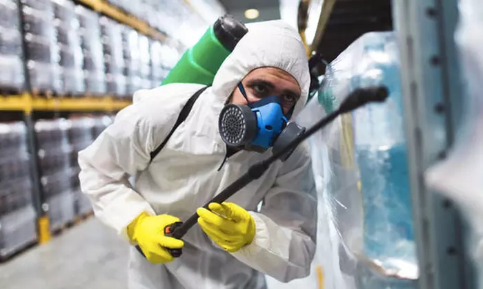 Desinfección vírica a domicilio