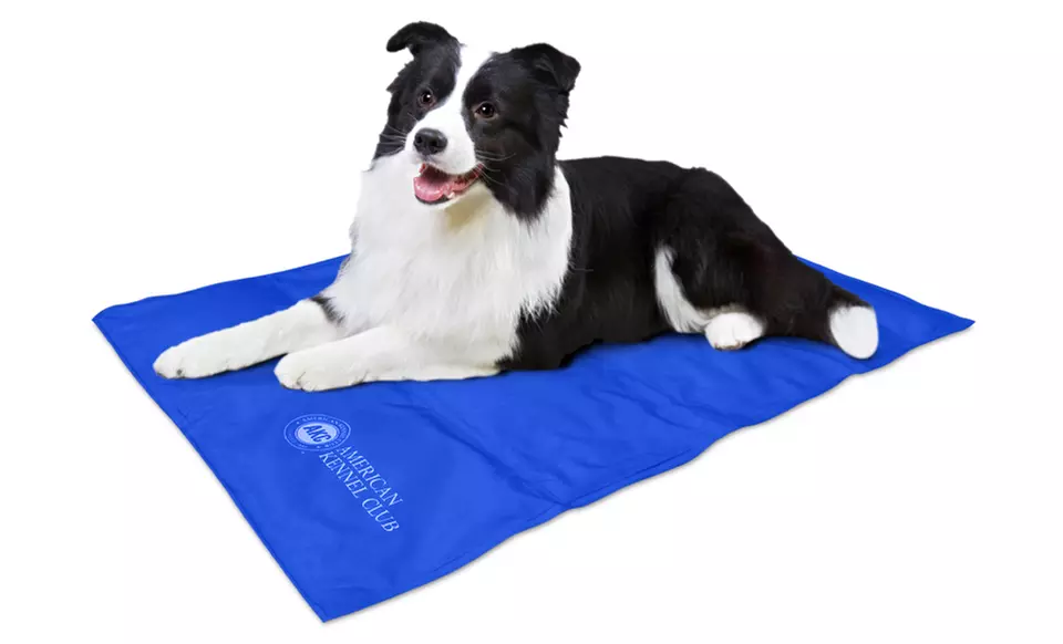 American Kennel Club Indoor-Outdoor Cooling Mat - Primary Image