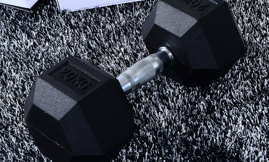 Image 21: Rubber Hexagonal Dumbbells