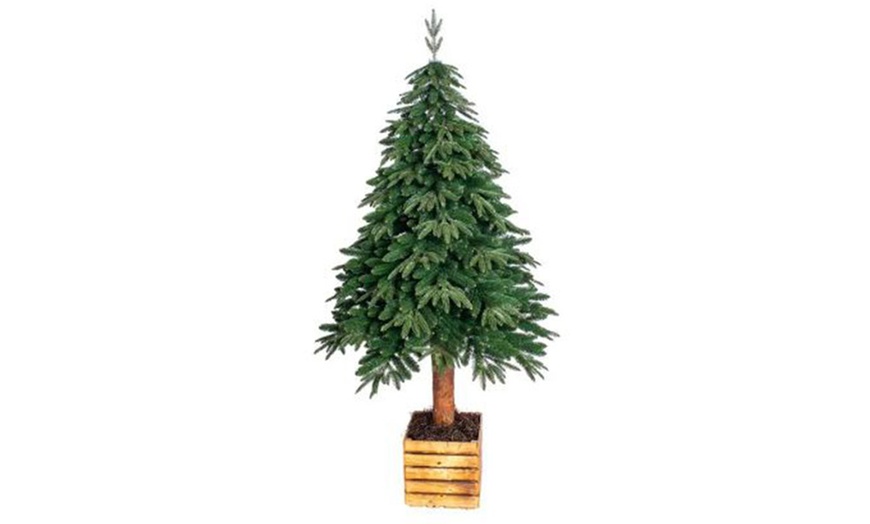 Image 2: Albero di Natale, Foxtrade