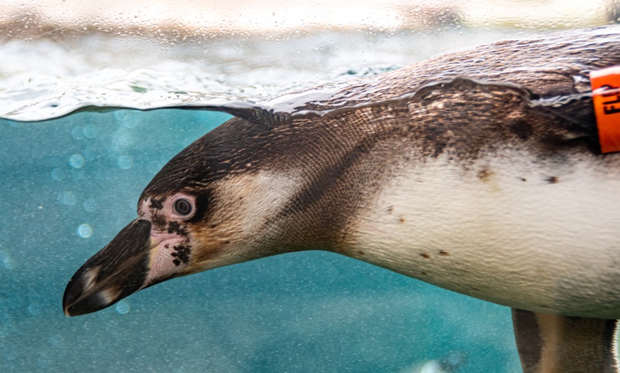 Image 2: Workshop für Kinder: Fotografieren im Zoo