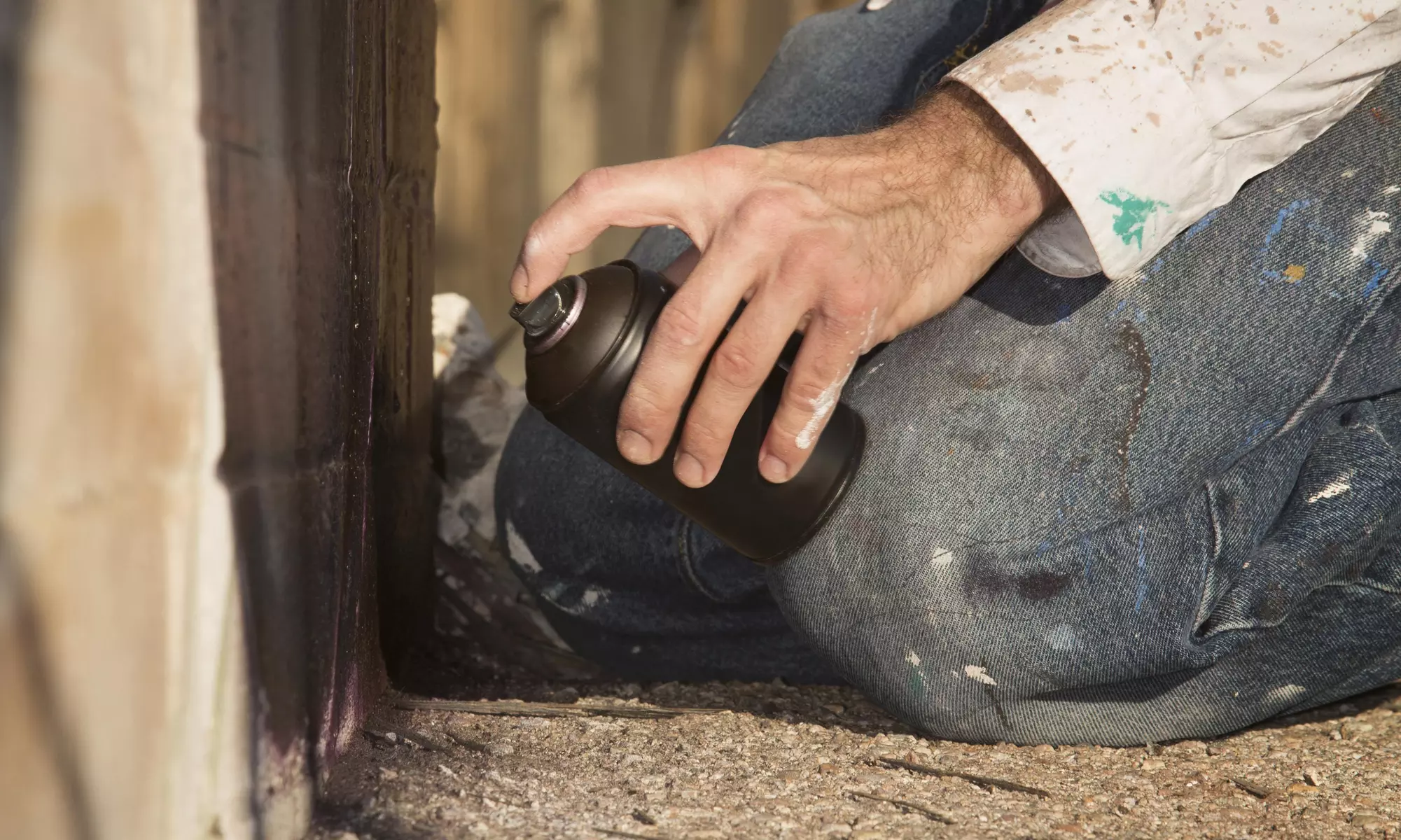 $60 Off $159 Worth of Pest Control Service - General - Primary Image