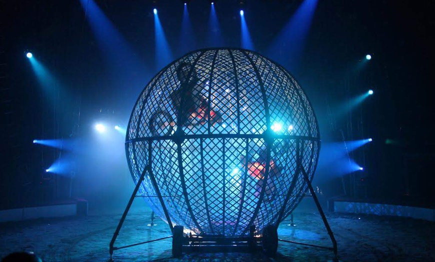 Image 4: Tickets to Circus Gerbola in Dun Laoghaire | Feb to March 2025