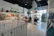 Full Grooming for Small, Medium, Large, or X-Large Pet at Paw Celebration Pet Spa and Boutique (Up to 53% Off) - Image 2