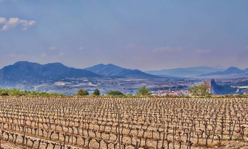 Image 4: Visita guiada a bodega con cata de 3 vinos y tapas para 2 o 4 personas