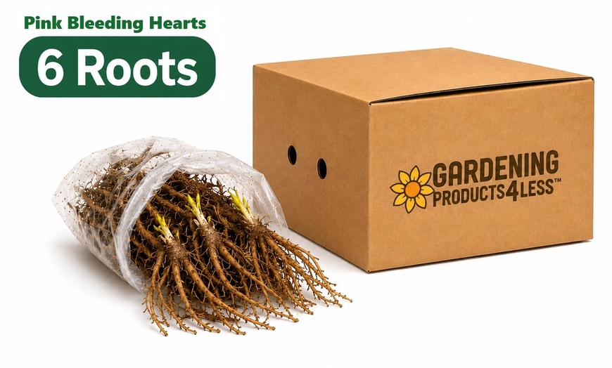 Image 8: Graduation Flower Bulb Collections