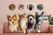 3-D-Fotokissen mit selbstgewähltem Haustiermotiv von Justyling (bis zu 74% sparen*) - Image 3