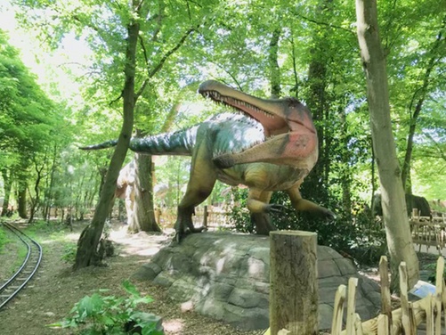 What to expect media