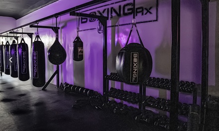2 classes - Boxing RX
