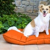 Image 14: Almohada Maxy para perros y gatos