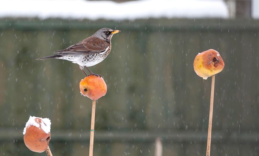 Image 9: Warwickshire Wildlife Trust Membership