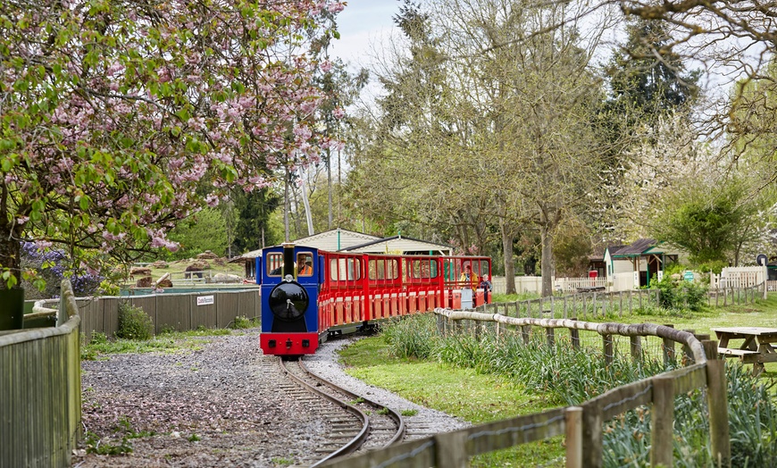 Image 14: Entry Ticket to Beale Wildlife Park