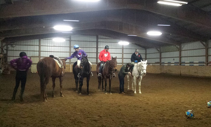 Explore Horseback Riding Lessons and Polo Training Adventures