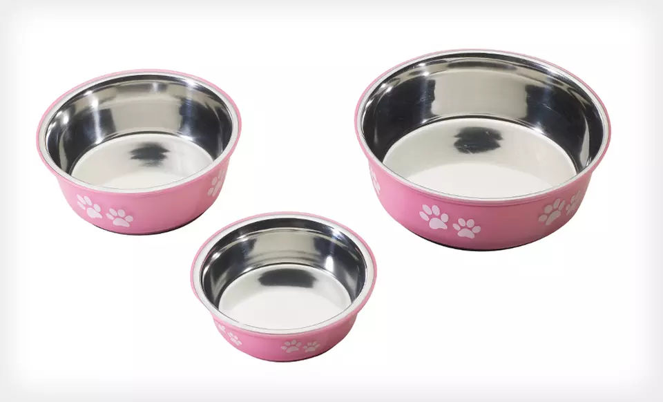 Fusion Designer Stainless Steel Pet Bowls (Up to 78% Off). Nine Options Available. Free Returns. - Second Medium