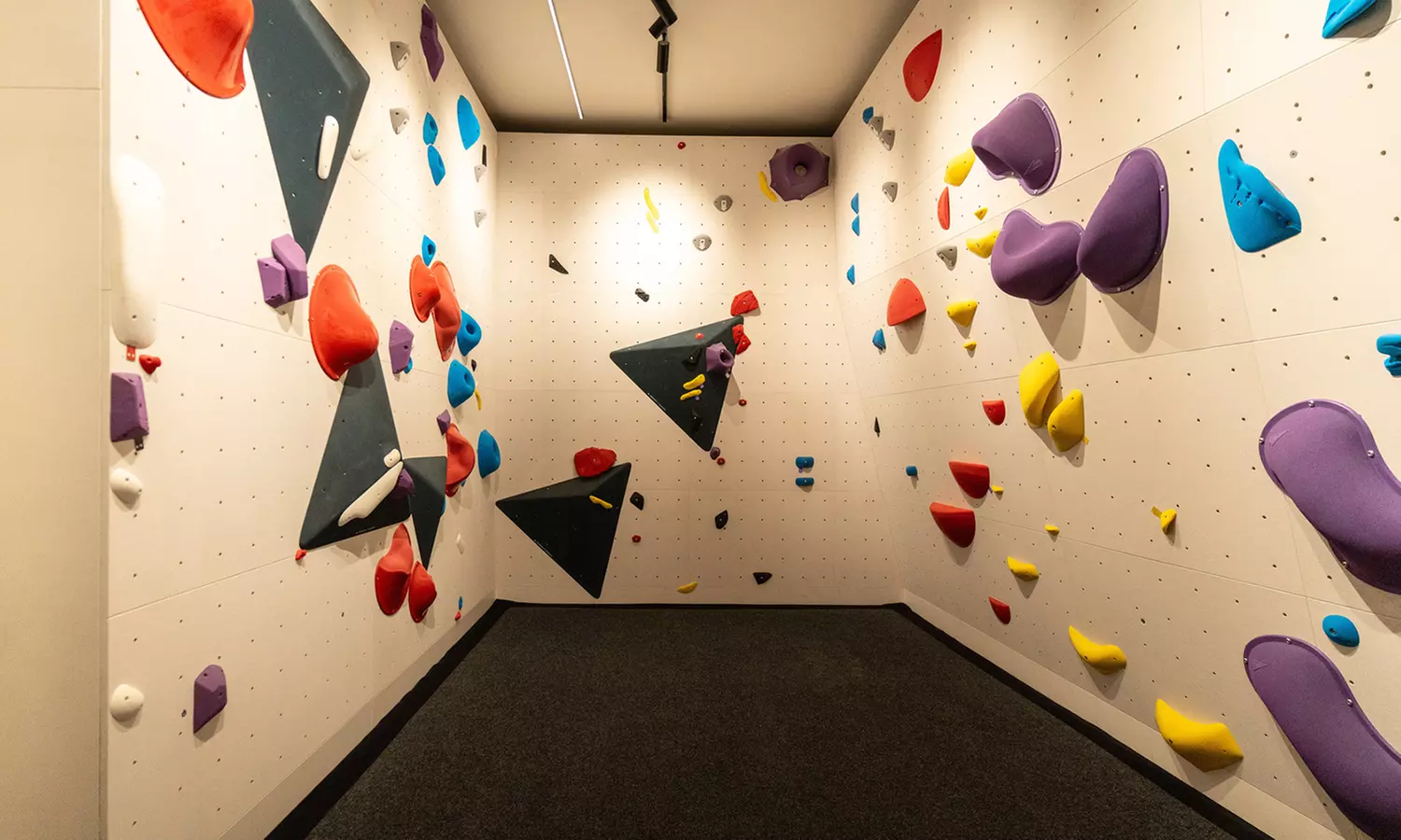 Acceso libre a las instalaciones de escalada para 1 o 2 adultos