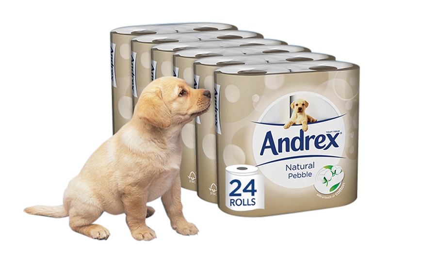 Image 2: Andrex Natural Toilet Paper