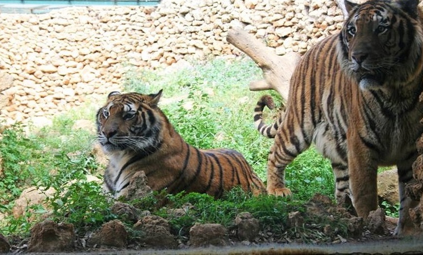 Image 4: Visita al Zoo Castellar