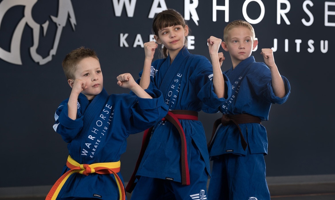Up to 55% Off on Martial Arts / Karate / MMA at WARHORSE KARATE / JIU JITSU