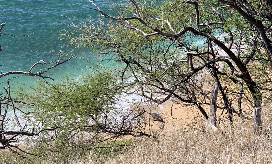 Image 3: Guided Oahu Tours – North Shore & Island Exploration for Two