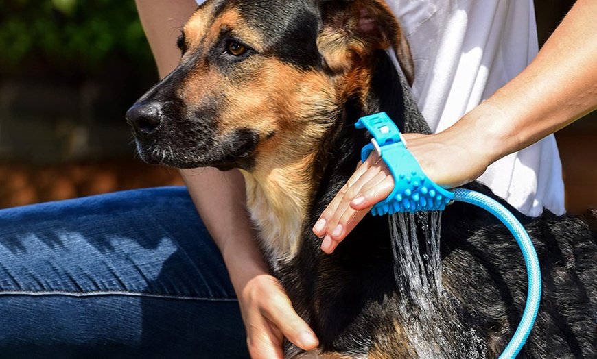 Image 5: Two-in-One Pet Shower Sprayer and Scrubber