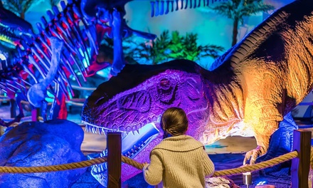 GetOutPass - Arizona for One Person - GetOutPass - Arizona